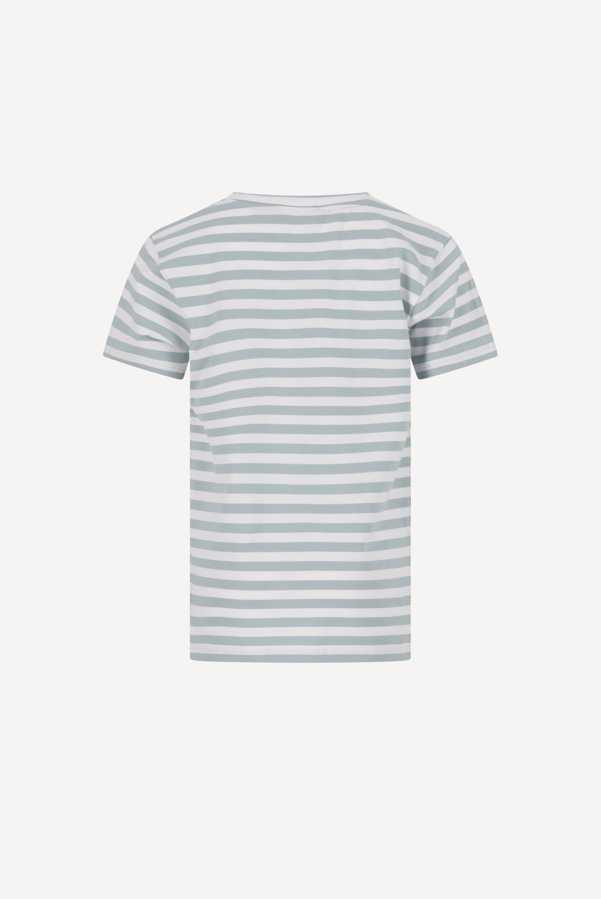 NOLAN T-Shirt. Salbeigrün